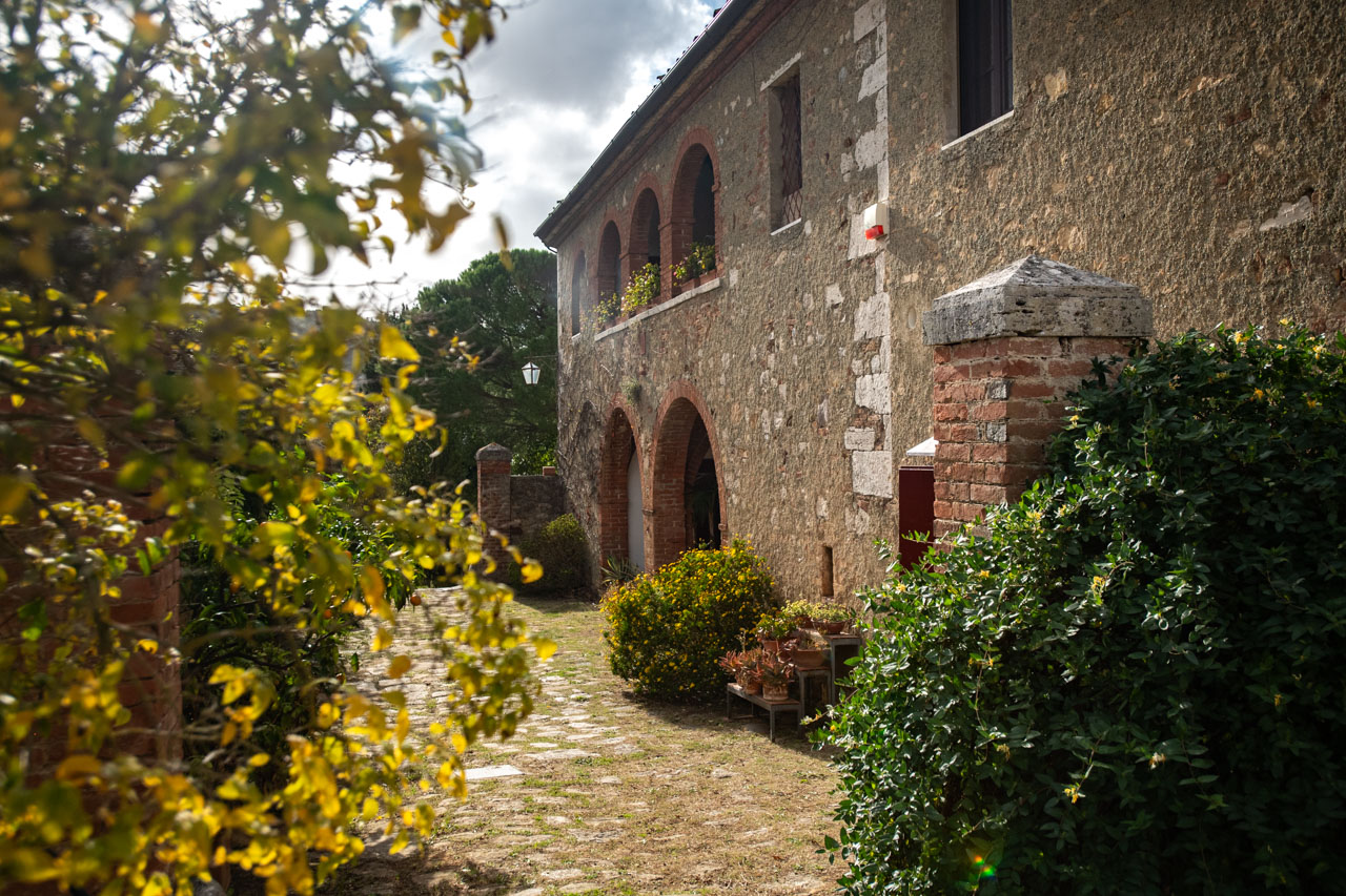 Garden path with golden foliage leading to the arched facade